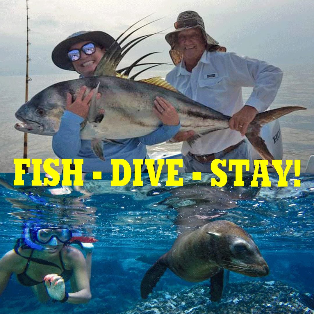 Fish Dive stay Baja Sur