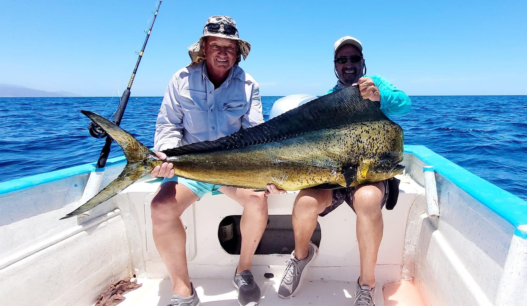 Fish for Mahi or Dorado in Baja Sur